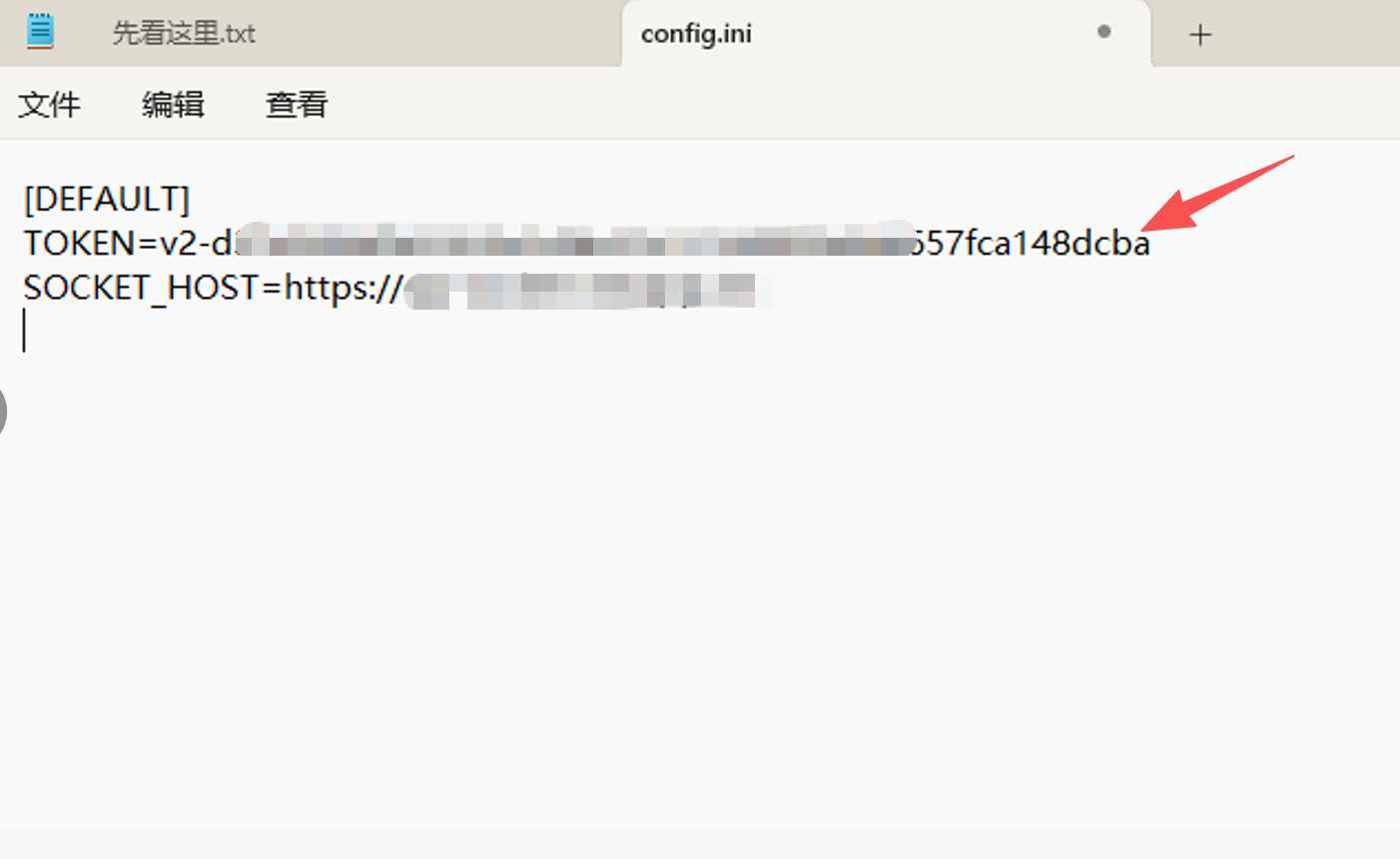 config.ini 中的 TOKEN 配置示例